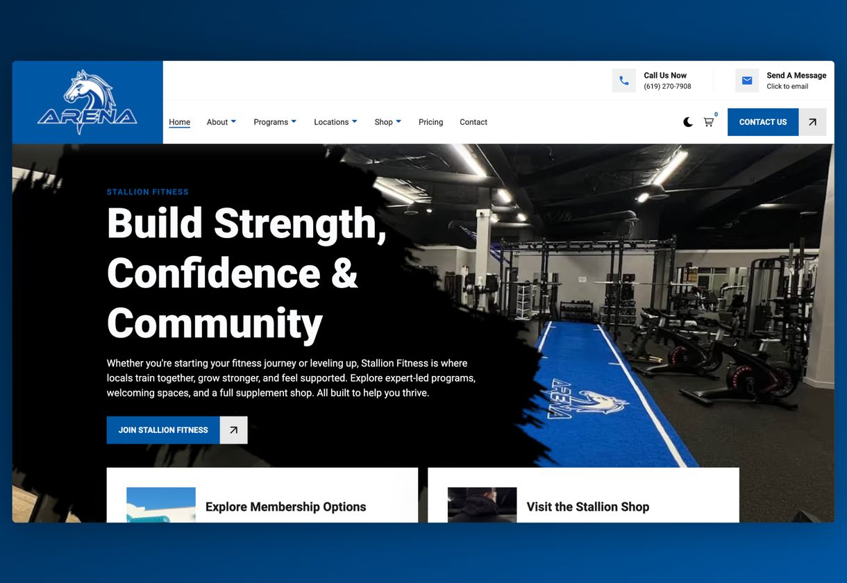 Image of the stallion fitness website used in the portfolio